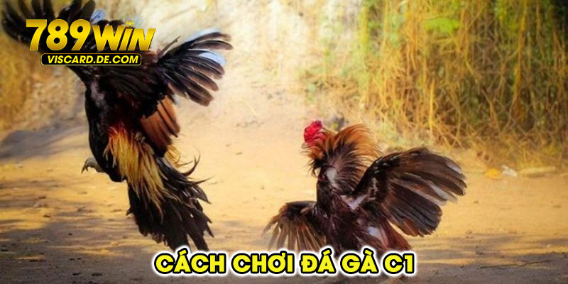 Cách chơi đá gà C1