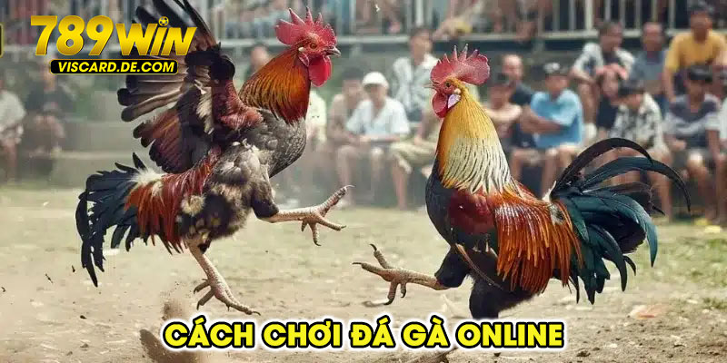 Cách chơi đá gà online