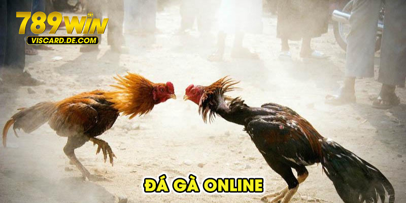 đá gà online