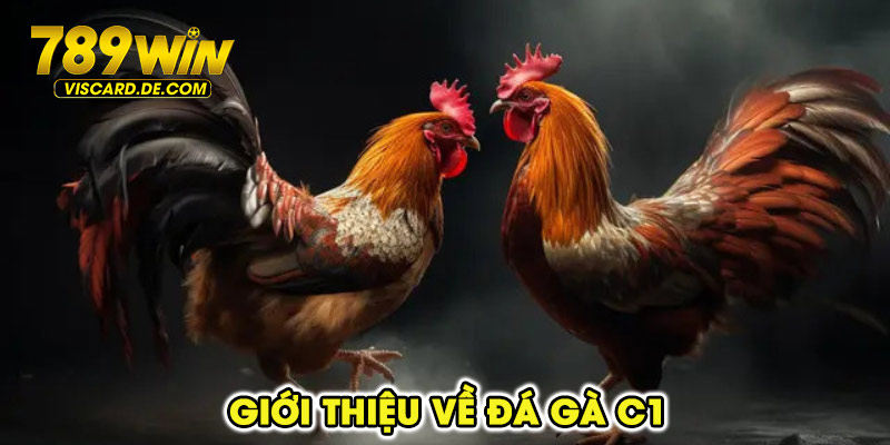 Giới thiệu về đá gà C1