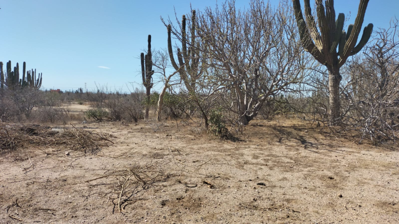 TERRENO EN VENTA RETAMA EN LA PASION "A" EN LA PAZ B.C.S.