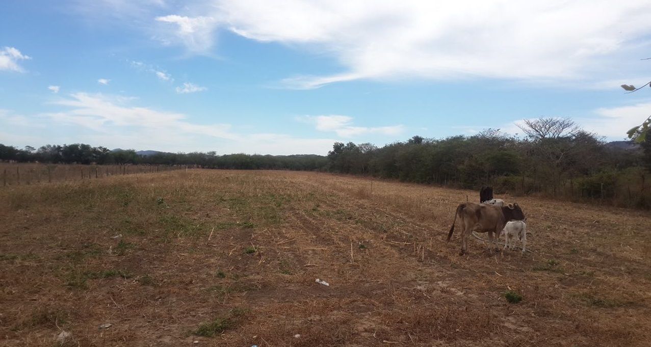 verinmuebles 0 946 5 HECTAREAS EN SALINA CRUZ EN VENTA ZONA COMERCIAL POR CARRET A TEHUANTEPEC