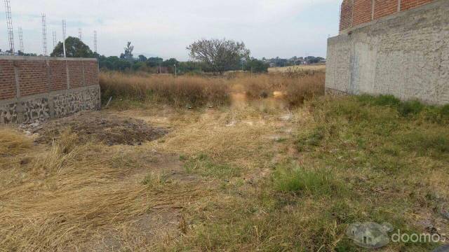 Terreno en Venta en Col. San Martín, Zapotlanejo.