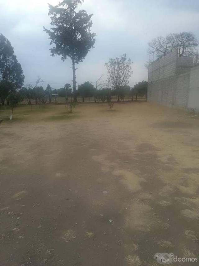 TERRENO EN VENTA SAN DIEGO TEXCOCO