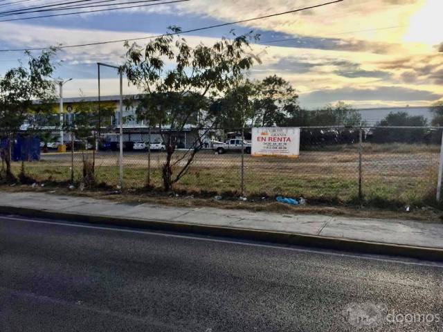 terreno en renta,avenida Juan Pablo Segundo,col.Antiguo Corral de Piedra