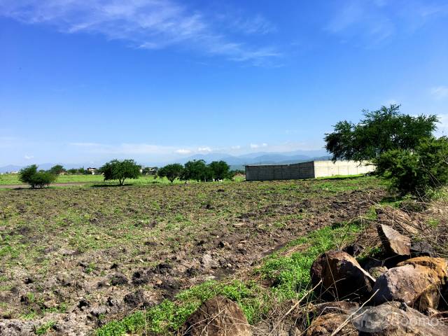 Terreno en Puente de Ixtla Morelos – La Pintora