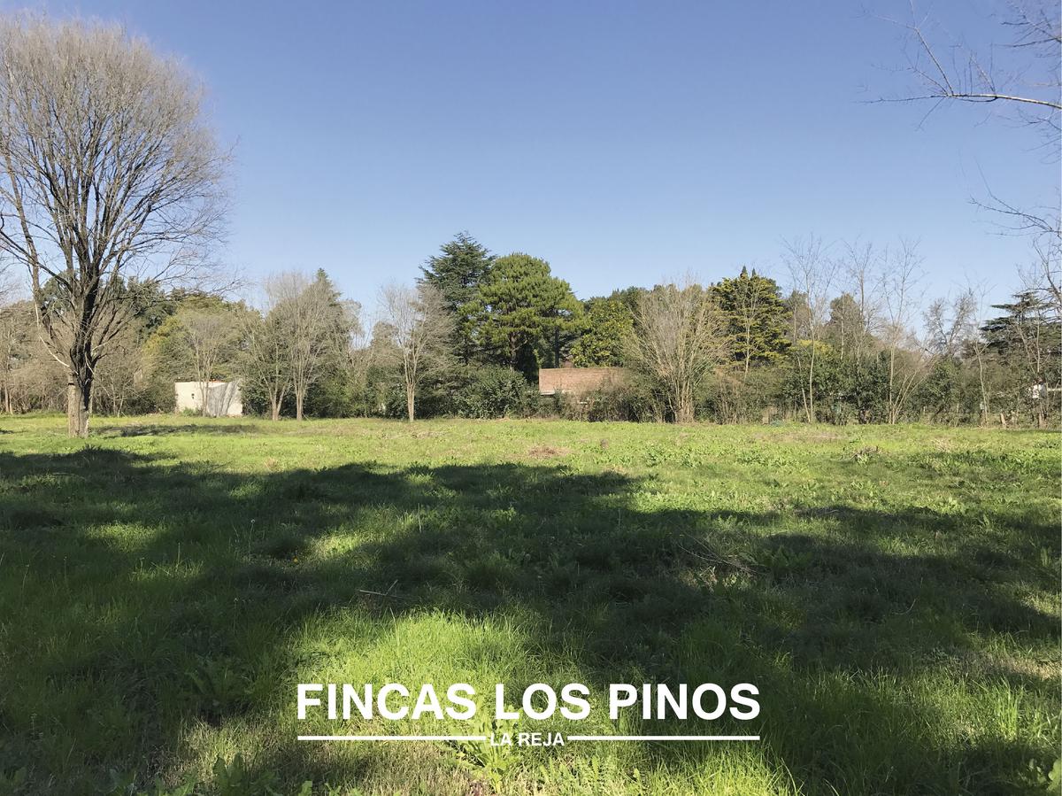 VENTA Lote 728 m2 Fincas Los Pinos - La Reja Sur