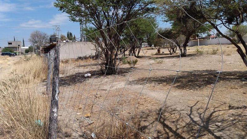 Terreno en renta  en CTM, Rio Grande, Zac.