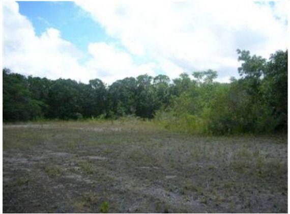 Lote arboleda, Mahahual