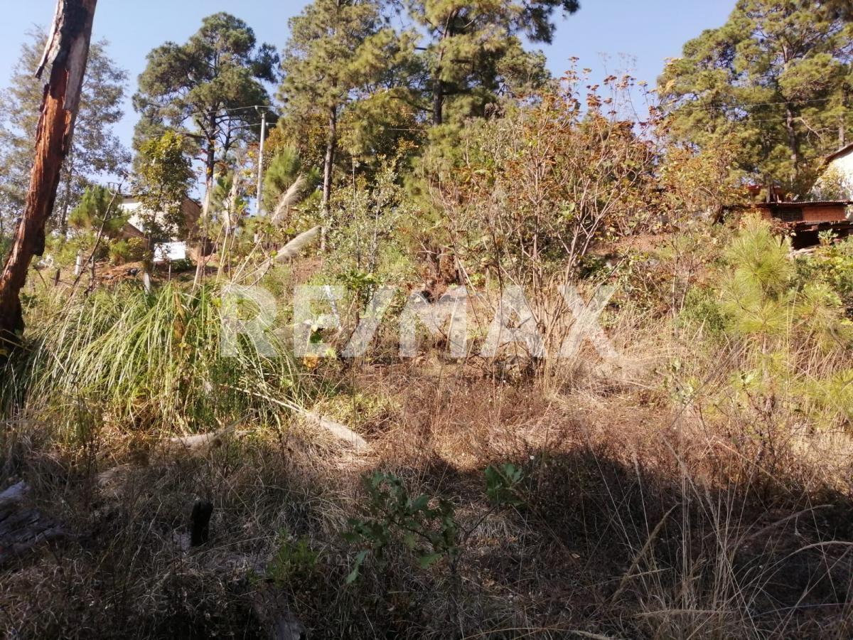 Terreno en venta, Valle de Bravo.