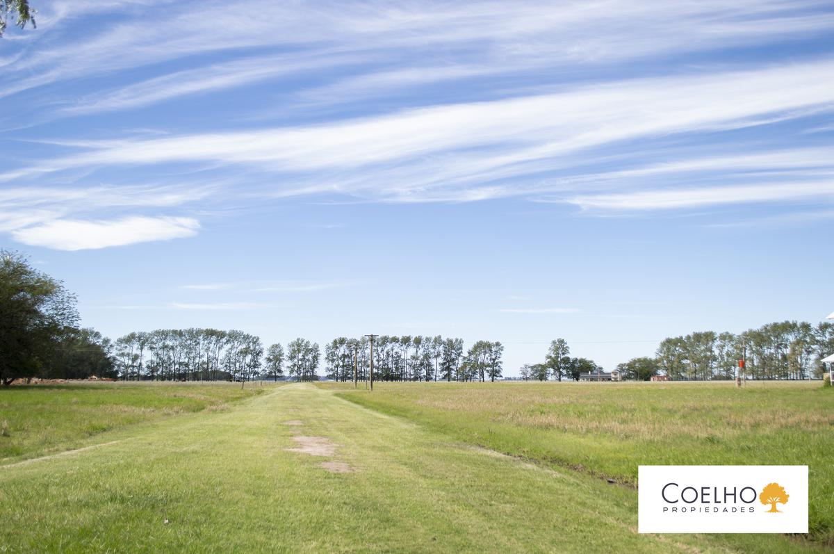 Terreno en venta en Carmen De Areco - Chacras de la Alameda