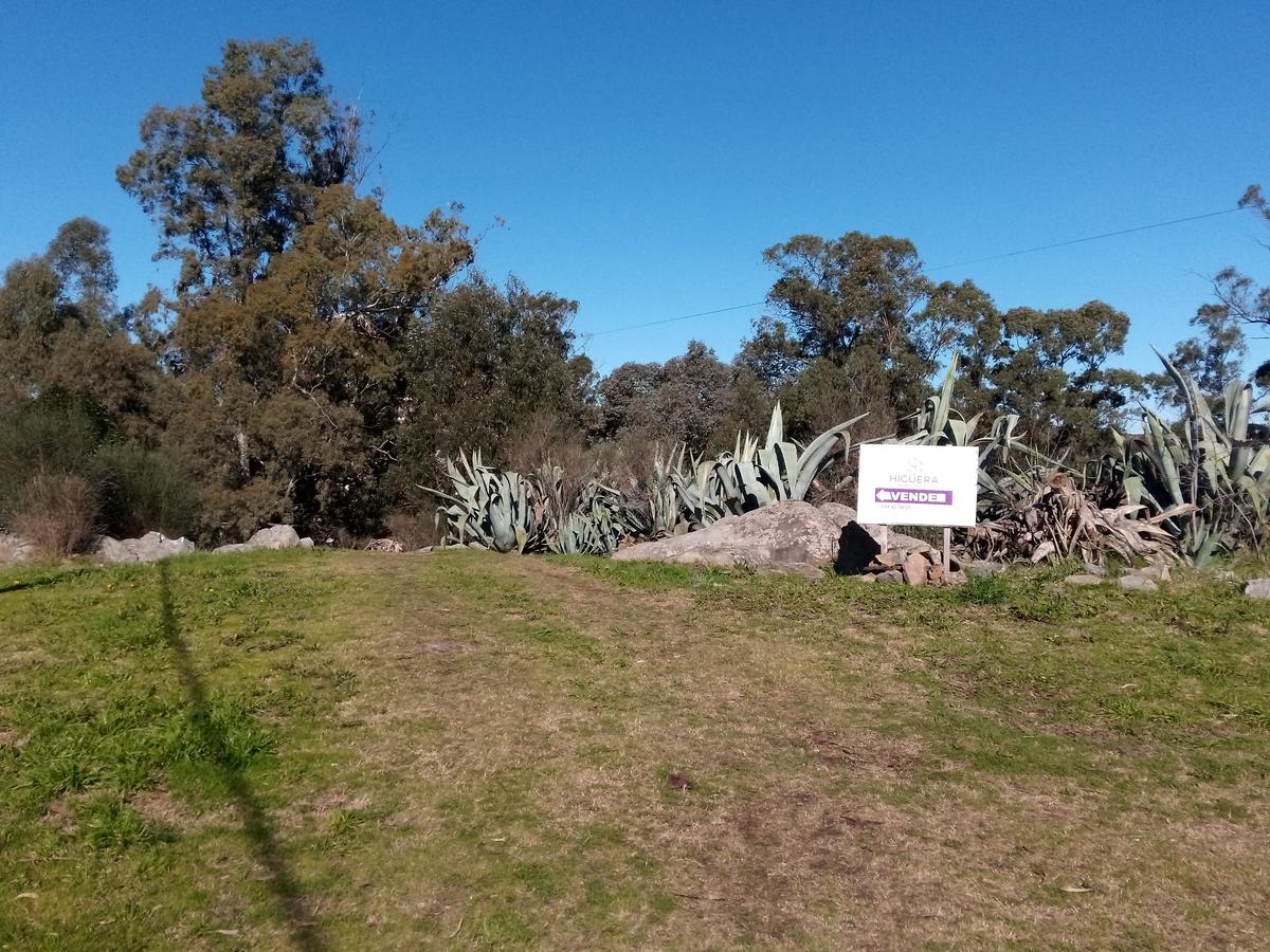 Terreno - Tandil