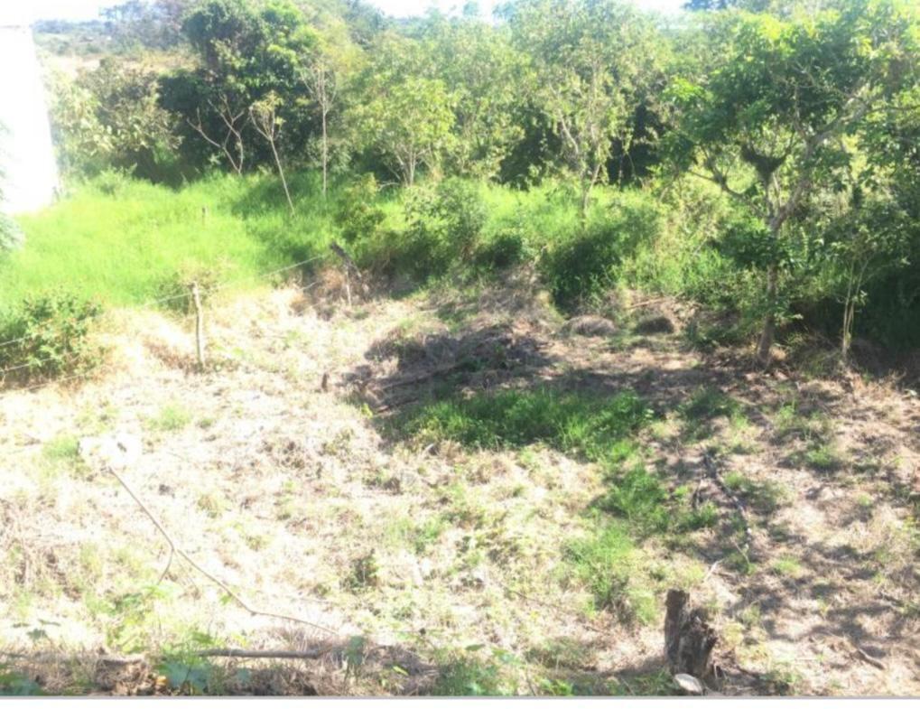 TERRENO EN VENTA EN MONTE MAGNO