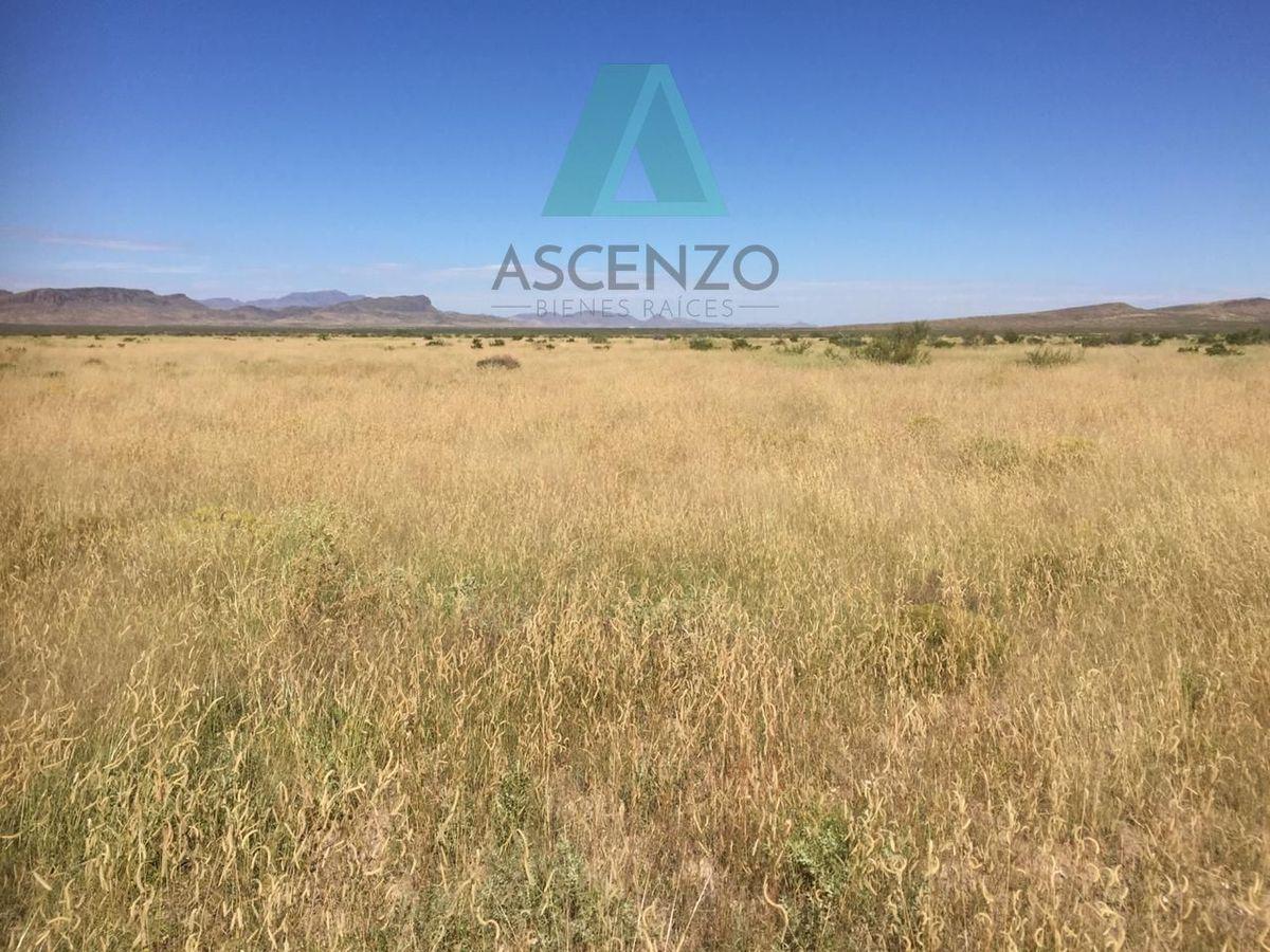 RANCHO AGRÍCOLA EN VENTA POR OJO LAGUNA CARR. CD JUAREZ