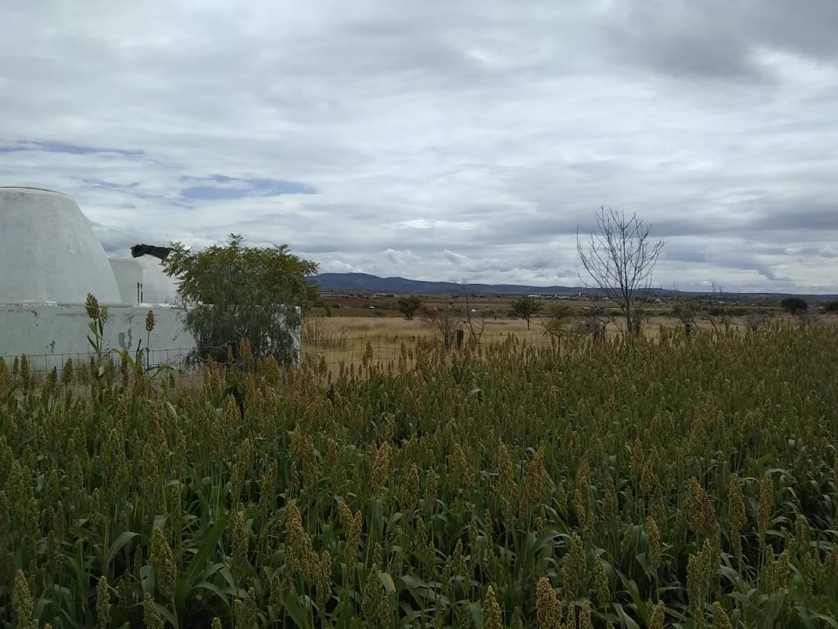 VENTA Terreno en El Solano acceso por Puentecillas o carr. a la Sauceda