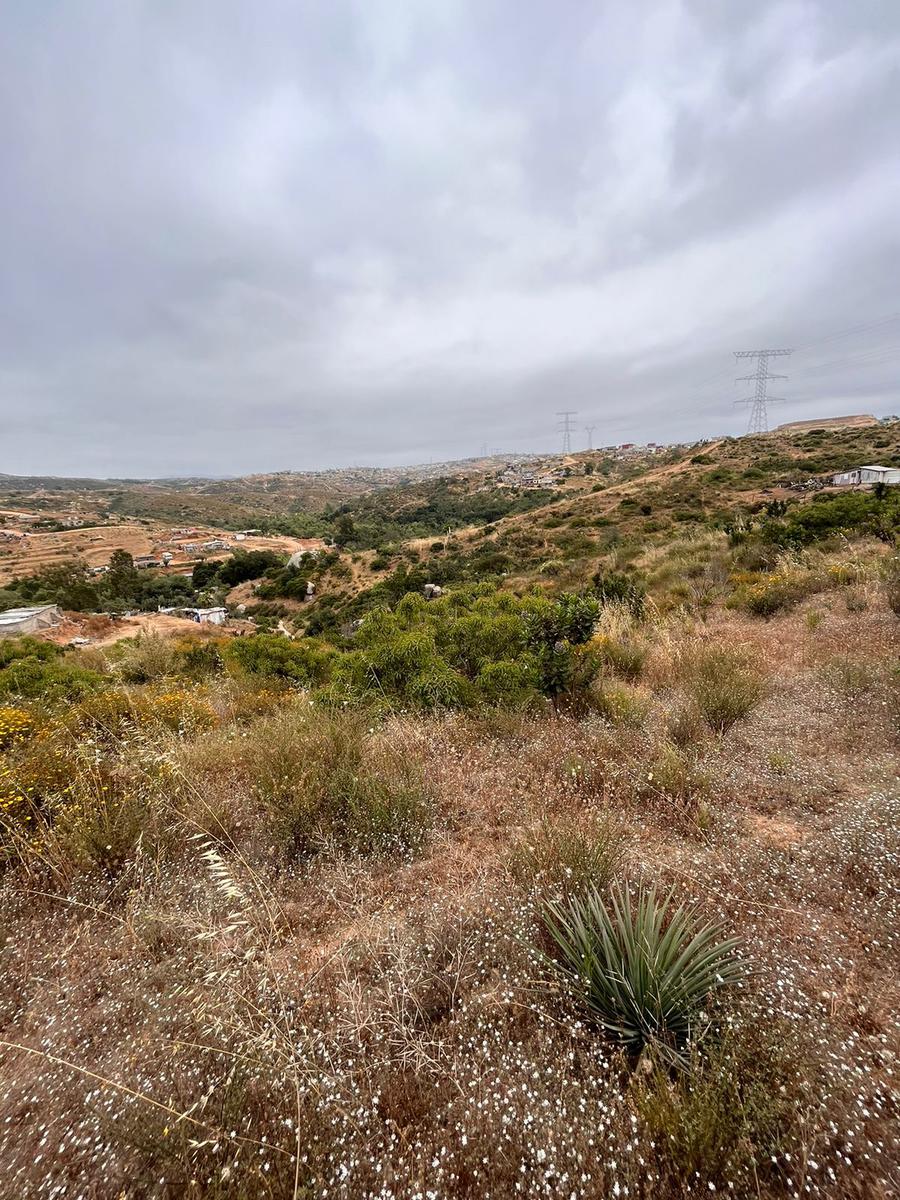 Terreno en VENTA, Ejido Ruiz Cortínez, Ensenada, B.C.