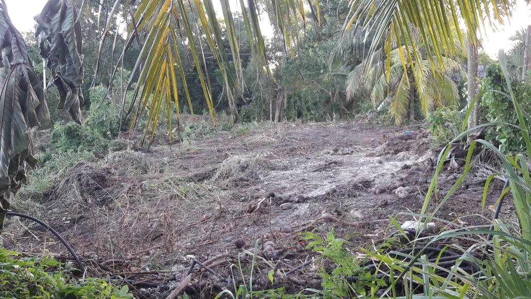 Terrreno en Bacalar muy cerca de la laguna