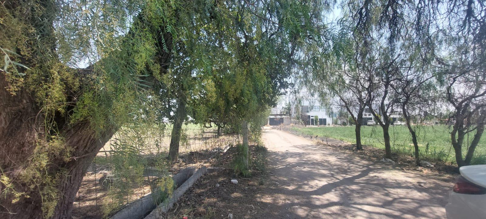 Terreno en  Venta El Pueblito, Corregidora, Qro.