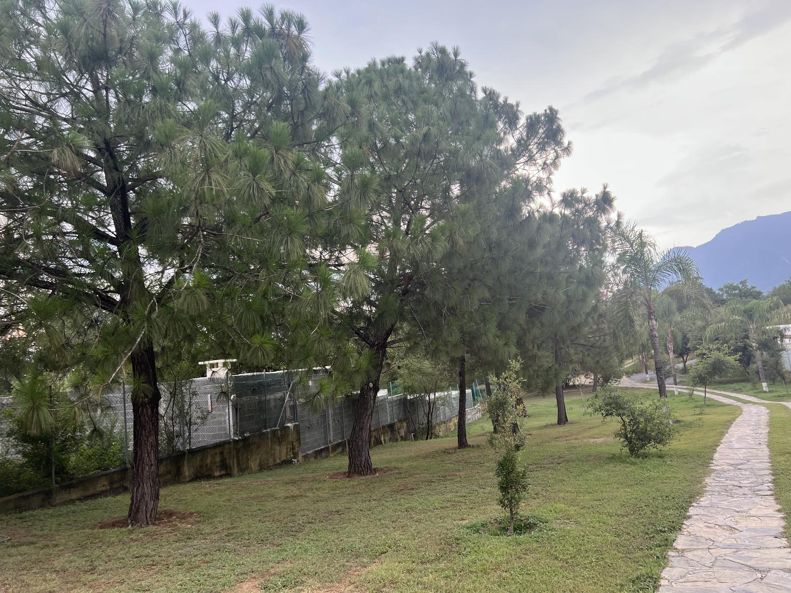 Terreno en venta Allende carretera nacional 7 hectáreas