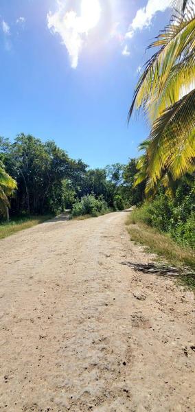 TERRENOS A LA ORILLA DE LA PLAYA, MUY CERCA DE CHETUMAL