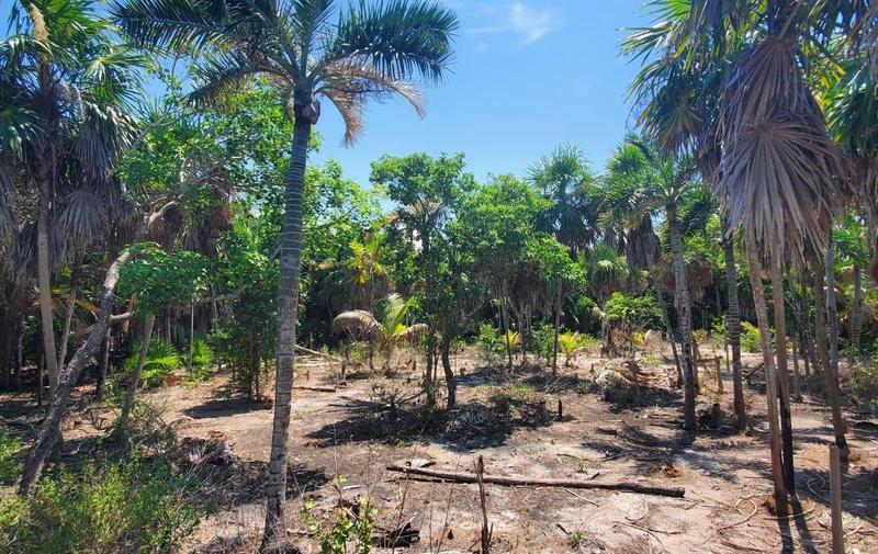 TERRENO EN EL CUYO A UNAS CUADRAS DE LA PLAYA