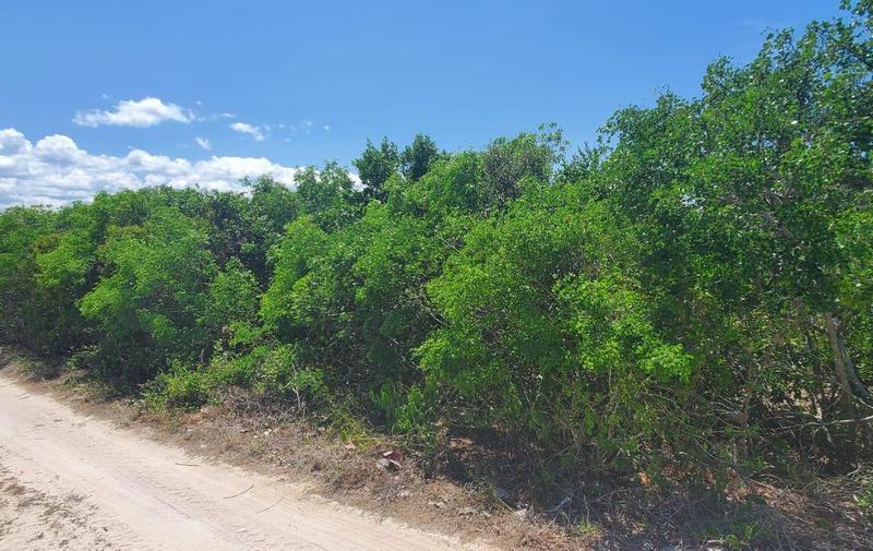 EL CUYO / YUCATÁN , se vende terreno .