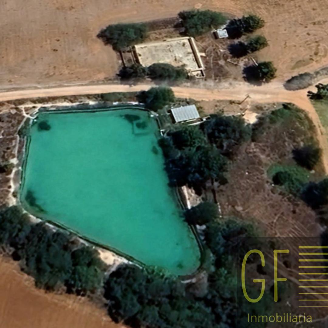 Terreno en Dolores Hidalgo - Rancho 180 Hectáreas con Agua - Titulo y Pozo