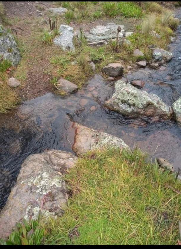 Terreno en  Venta Col Agricola Ganadera El Progreso Perote, Ver.