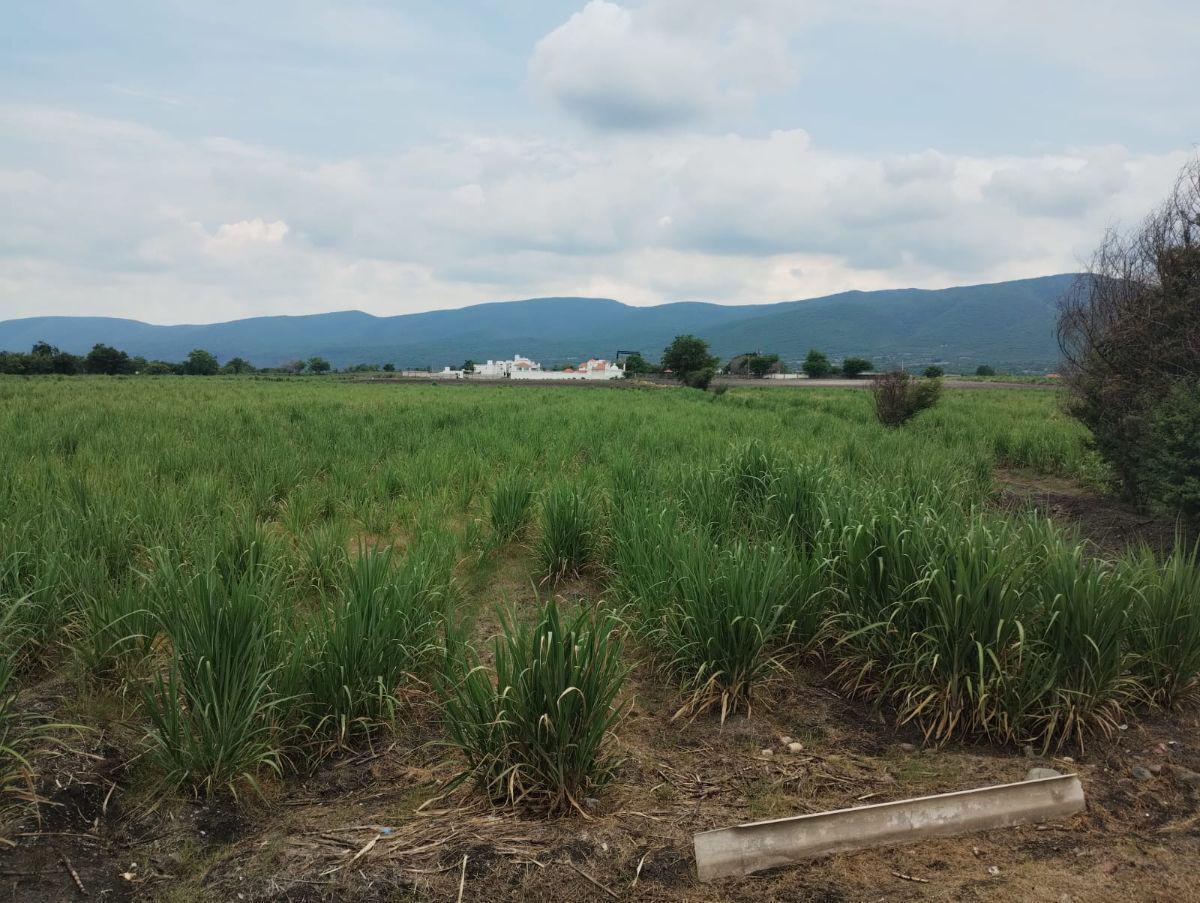 Terreno en venta, Diego Ruíz, Yautepec, Morelos