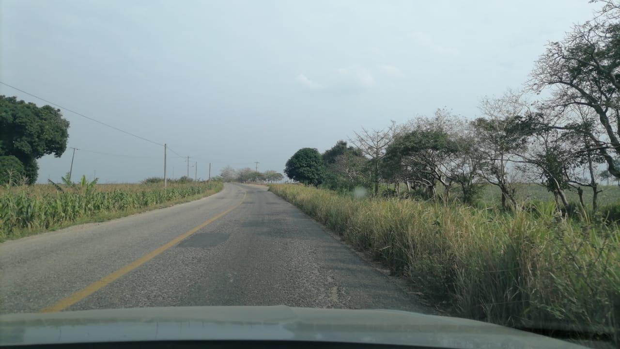 VENTA DE TERRENO EN PALO GACHO