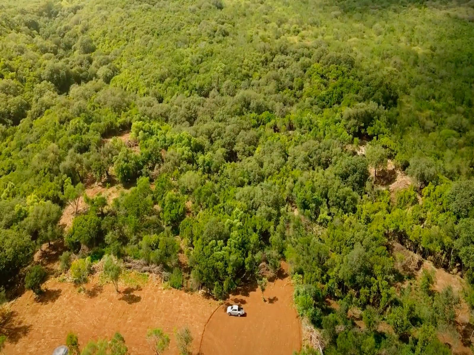 Terreno en venta, Montemorelos, Carretera Nacional