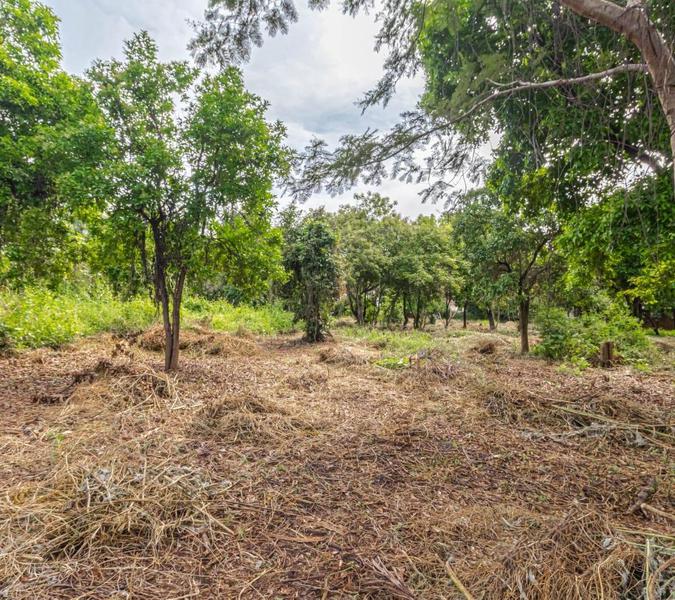 Extenso terreno en venta cerca al centro de Xochitepec