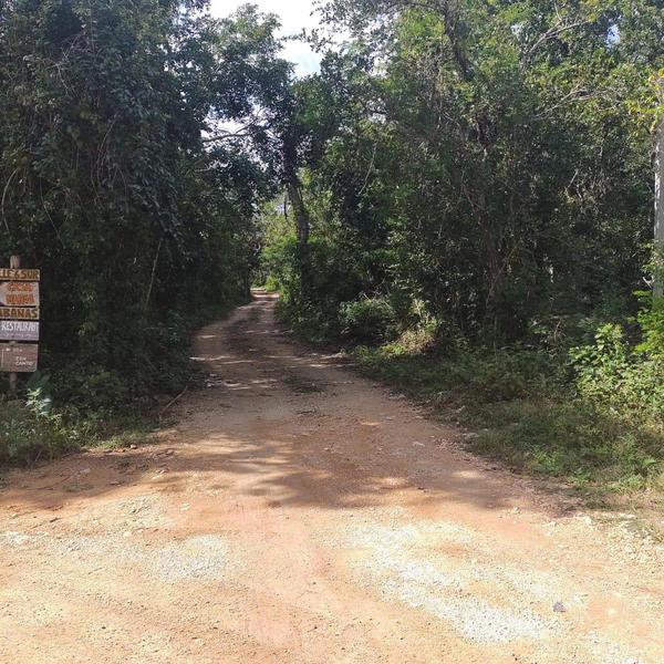 TERRENO EN MACARIO GOMEZ DE 300 M2