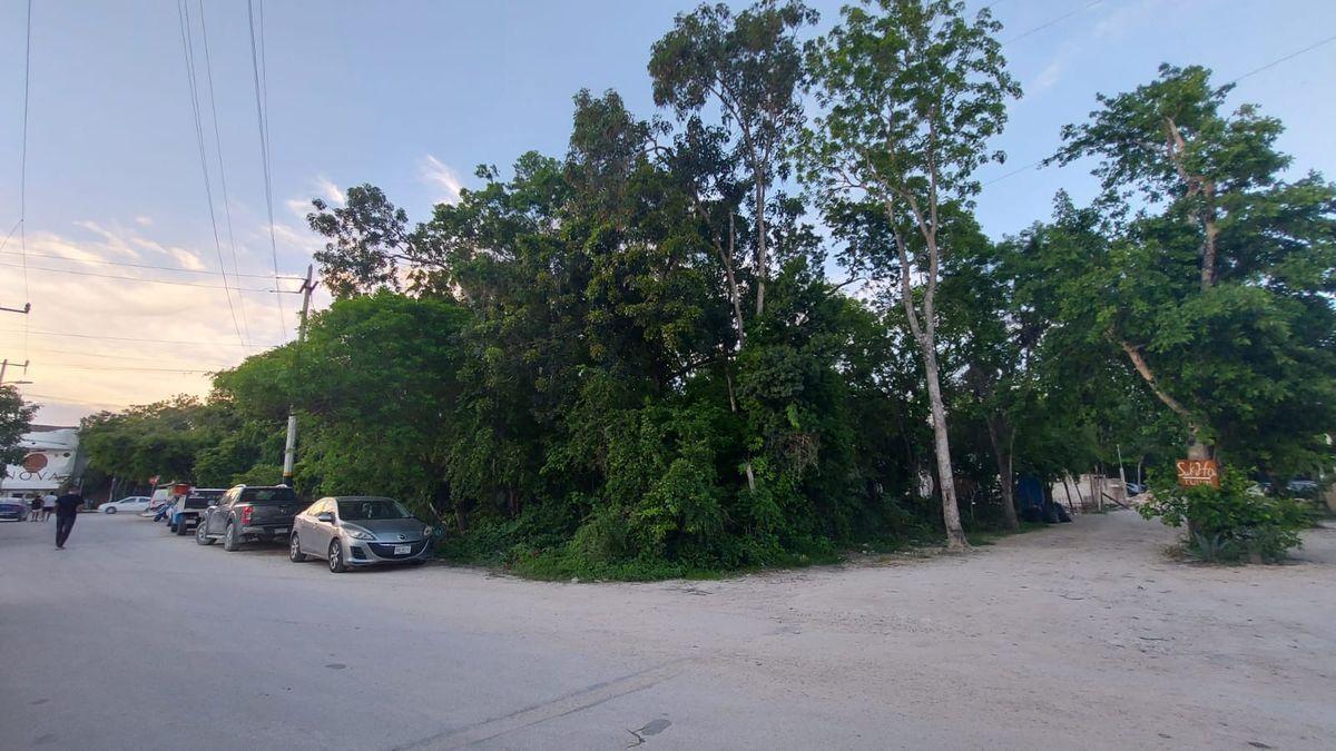 Terreno en venta en Tulum  La Veleta