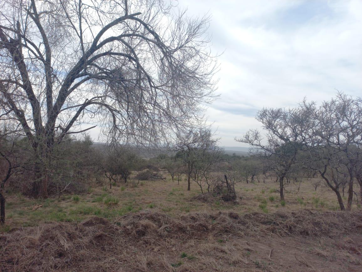 Terrenos a la venta en Tanti, Punilla