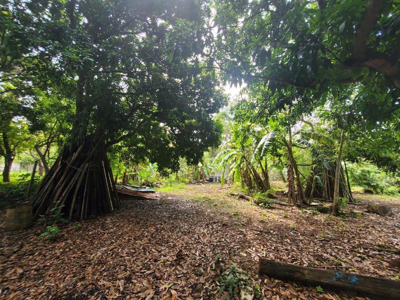 VENTA DE TERRENO  BACALAR A 5 MINUTOS DE LA LAGUNA