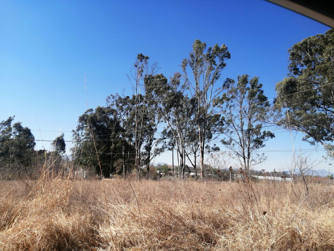 Terreno Venta Ixtapan de la Sal, predio el Mango, Xochuca