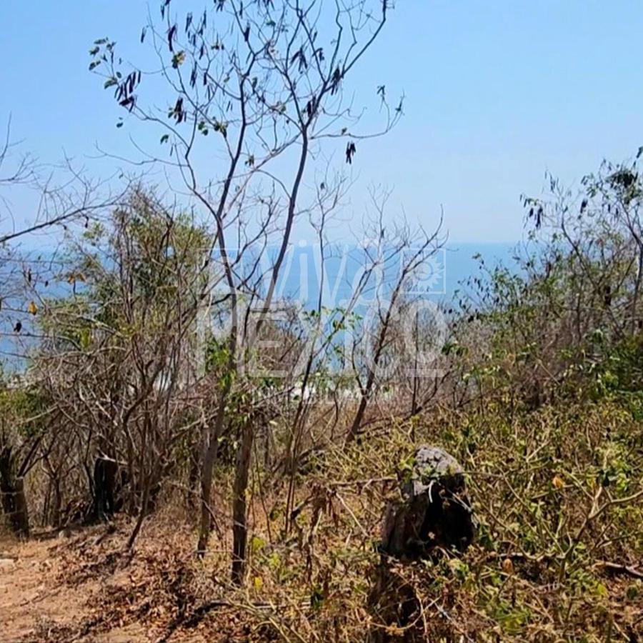 TERRENO EN MAZUNTE, TONAMECA, OAXACA