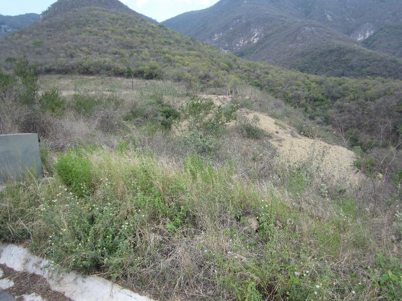 TERRENO EN VENTA FRACC  LA HERRADURA CARRETERA NACIONAL  $12,561,030