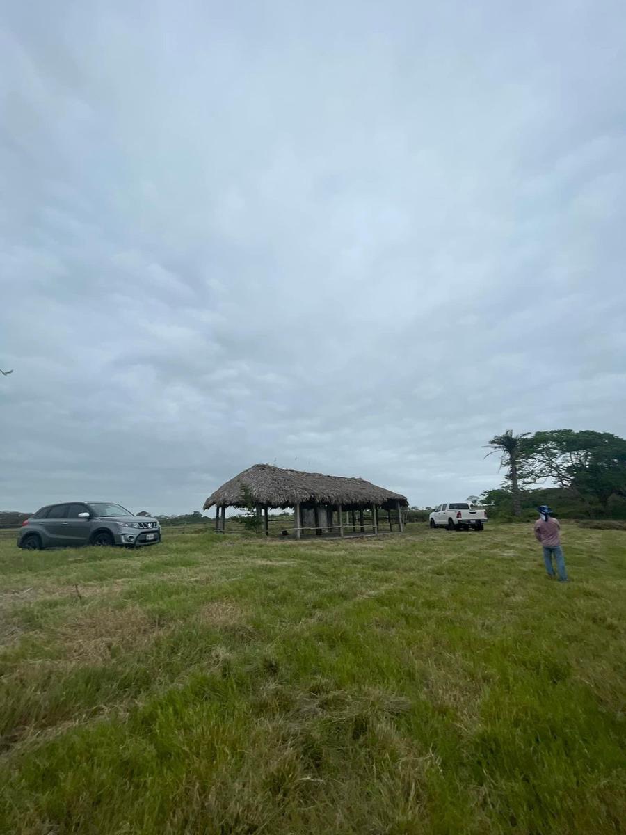 Terreno en Congregación Encinal y Mesa Ozuluama Veracruz