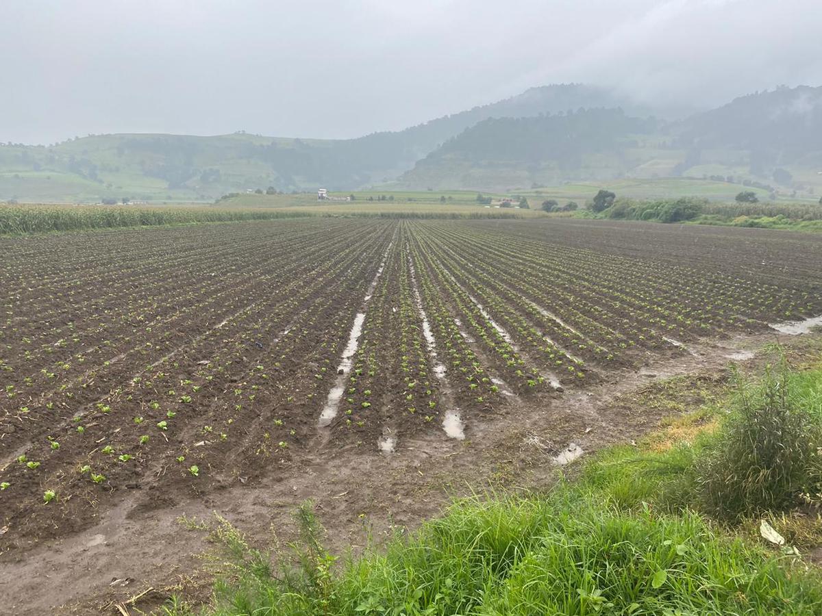 Terreno - Tenango del Valle