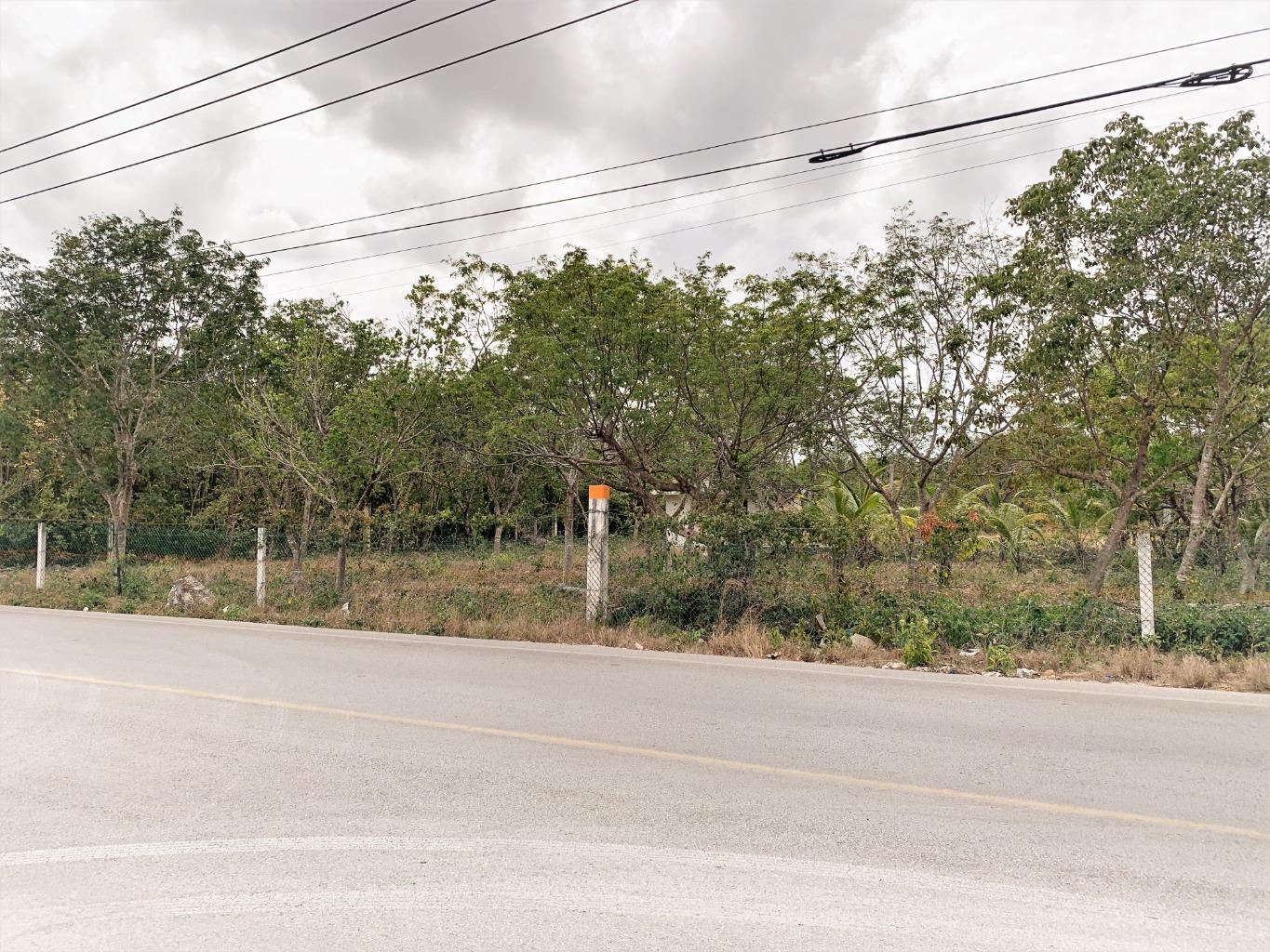 Terreno en  Av. Prolongación La Luna, Cancún