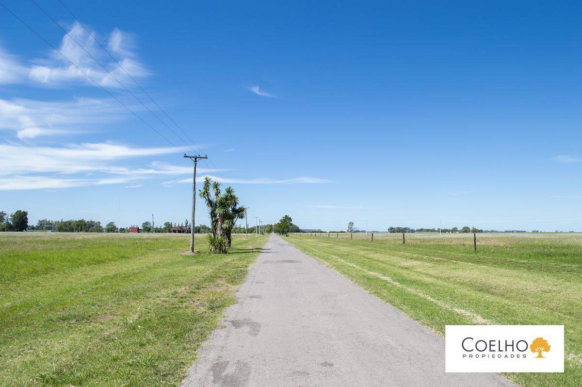 Terreno en venta en Carmen De Areco - Chacras de la Alameda