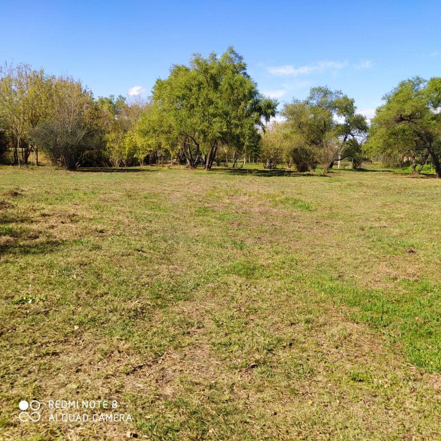 Terreno en venta de 8100m2 ubicado en Tanti