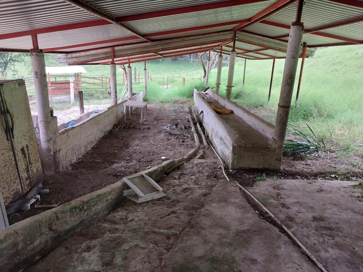 RANCHO DE 5 HECTÁREAS EN JILOTEPEC