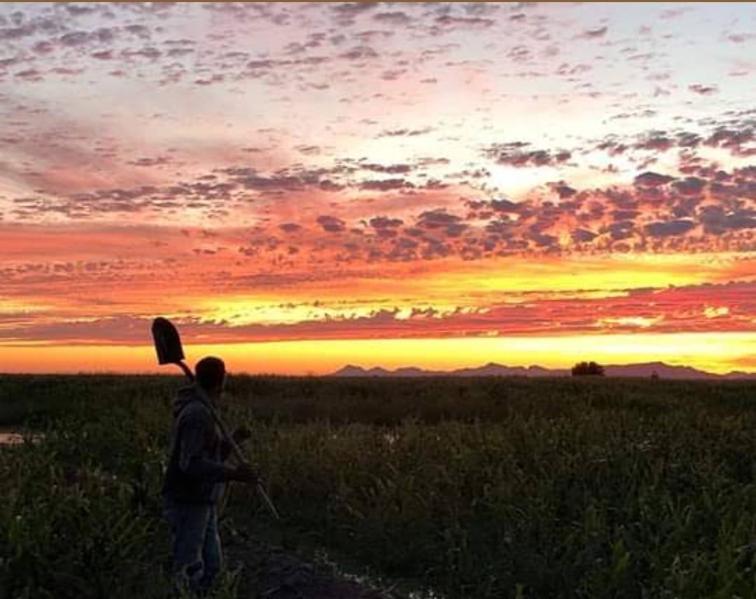 Campo en Poblado comunal El Coloradito