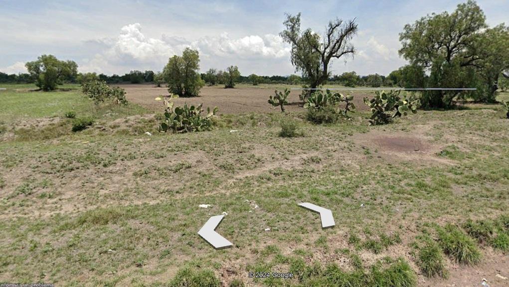 TERRENO EN TEMASCALAPA, EDO. MÉX. SUP. 6 HECTÁREAS