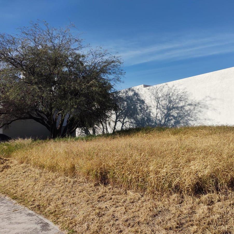 EXCELENTE TERRENO EN CLUB DE GOLF TEQUISQUIAPAN QUERÉTARO. SUP. 326 m2