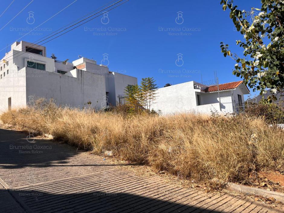 Terreno en  Colonia Loma Linda