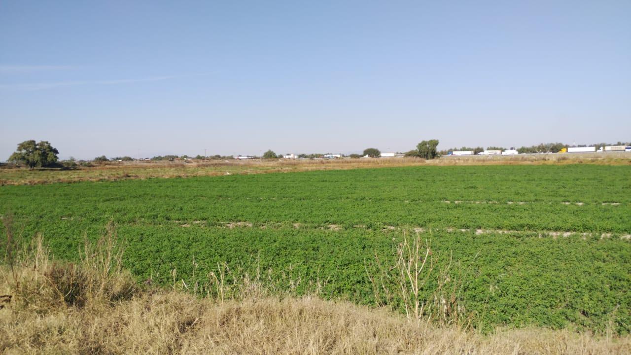 Terreno en Santa Ana Nextlalpan, Edo. Méx. Sup. 3 Hectáreas.